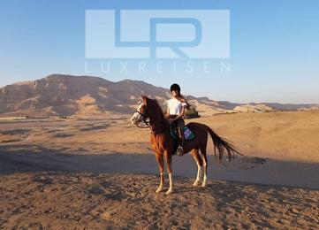 Horseback riding in Hurghada: Horseback riding on the beach or in the desert photo